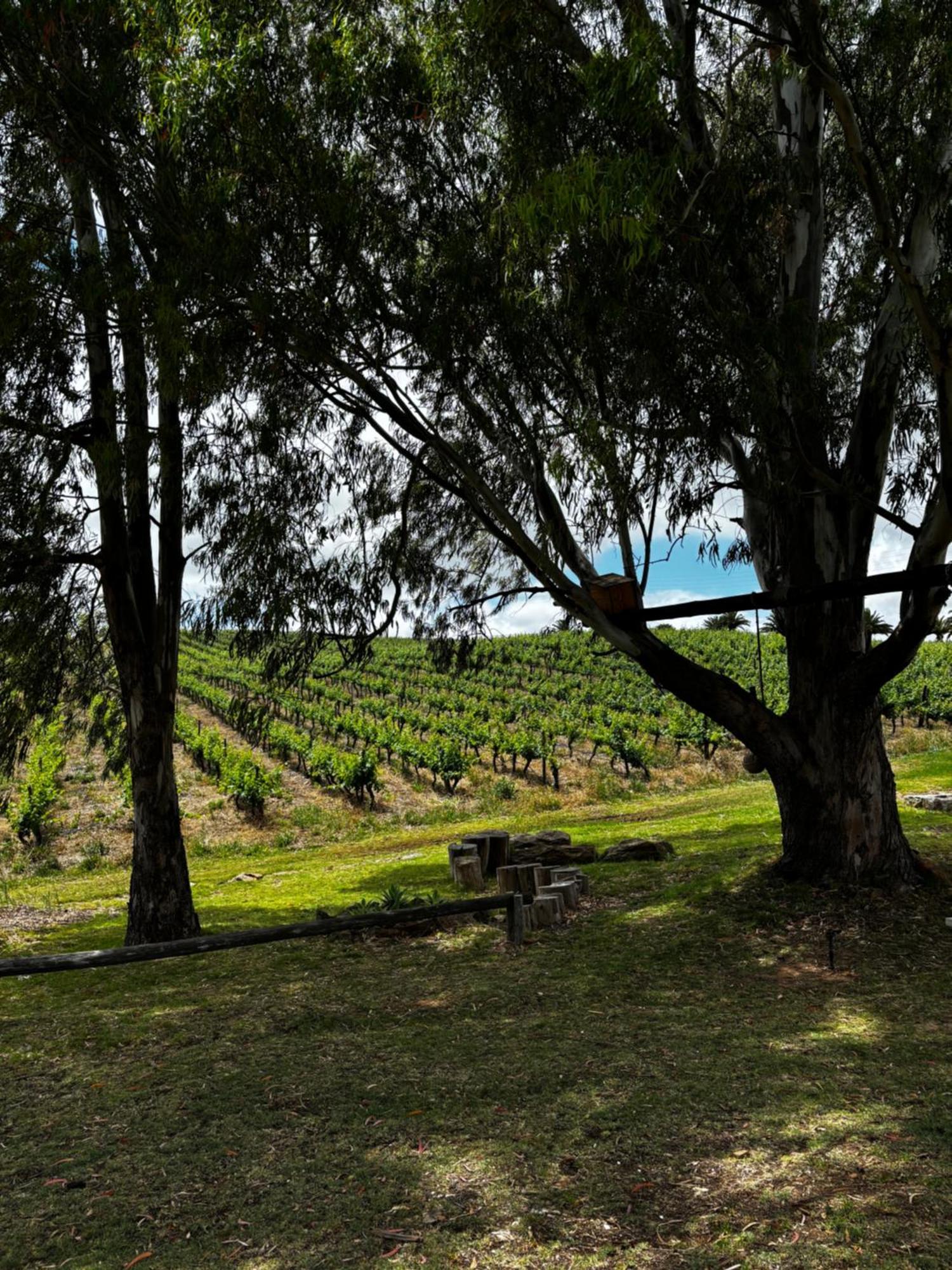 Arendsig Wine Estate & Cottages Bonnievale Εξωτερικό φωτογραφία